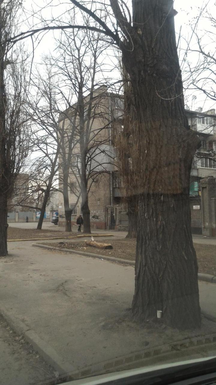 пастера *